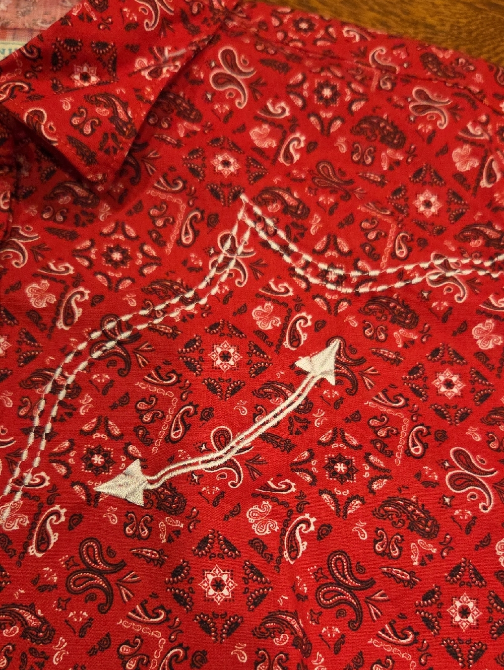 Panhandle Slim Rough Stock Women's Bandana Print  Western Shirt Size Large - Picture 9 of 10